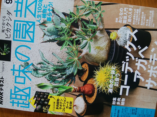 狼少年は今日も嘘を重ねる 5 ジャンルを問わず本が好き 本棚にも植物 Plant を